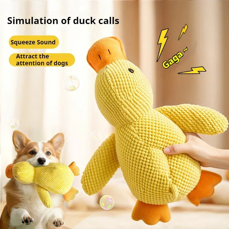 Quacky Wacky Duck Toy