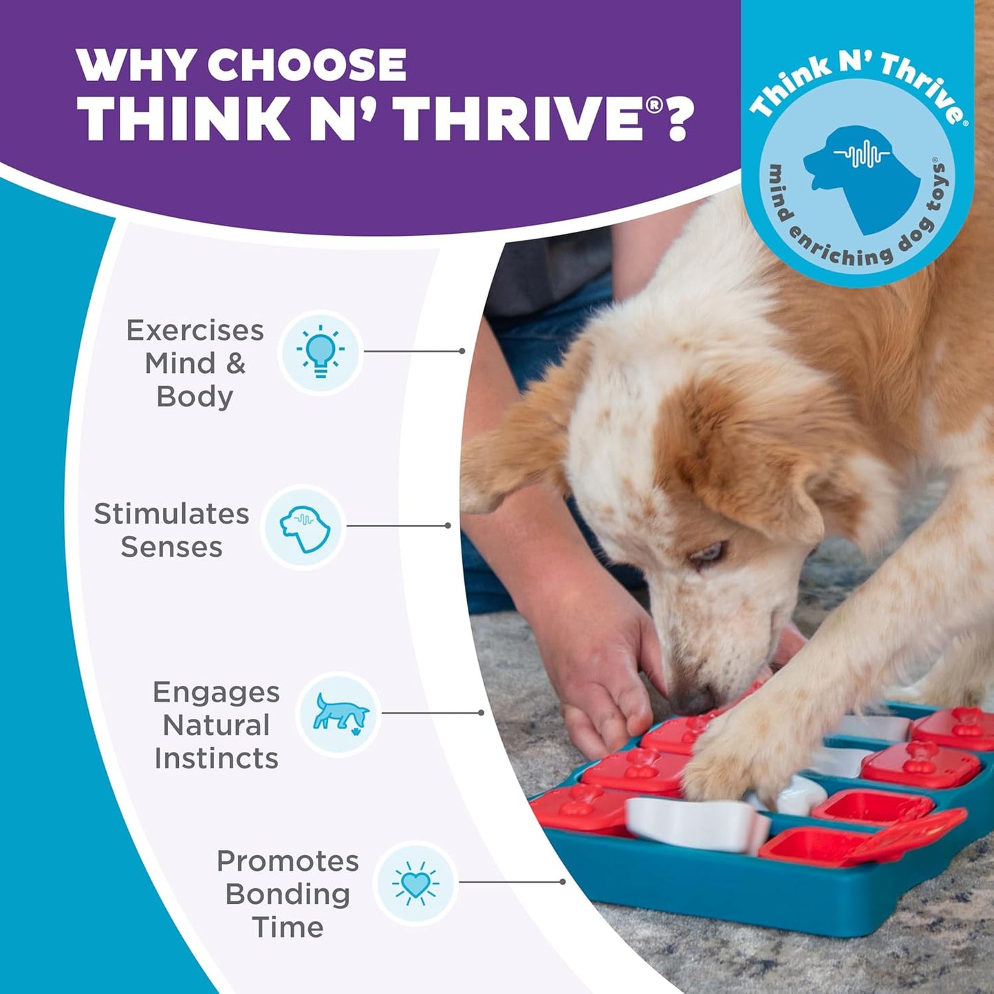 Interactive Treat Puzzle for Dogs