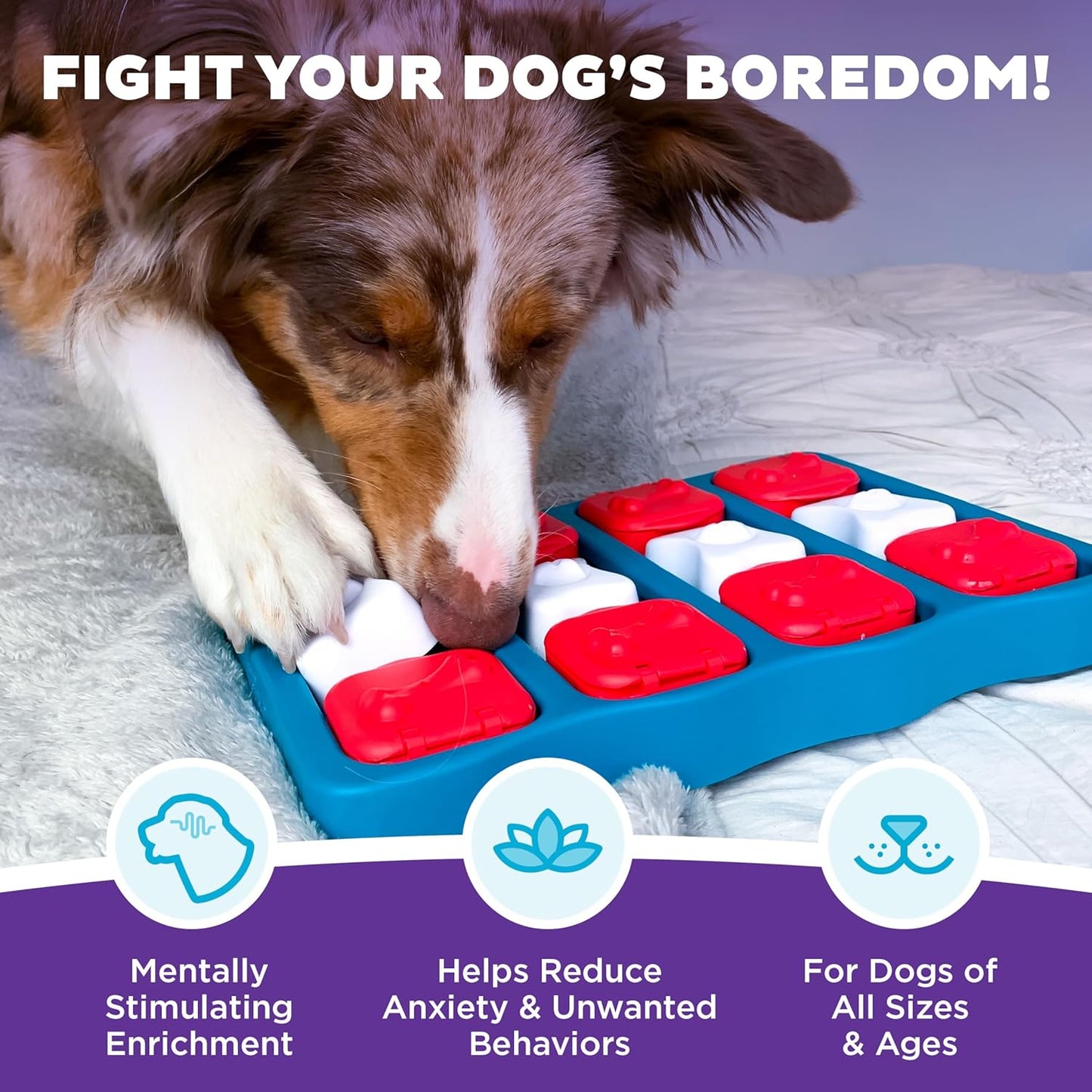 Interactive Treat Puzzle for Dogs