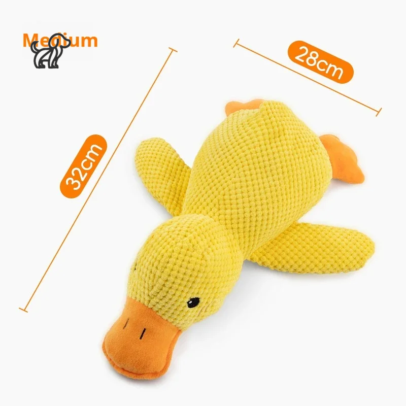 Quacky Wacky Duck Toy