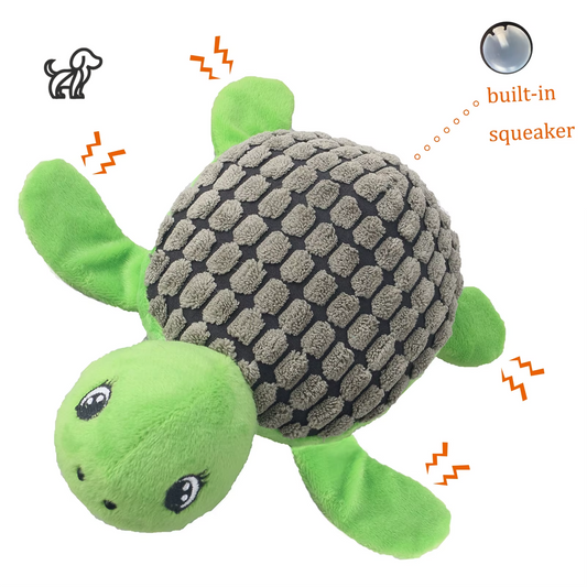 Squeaky Turtle Toy