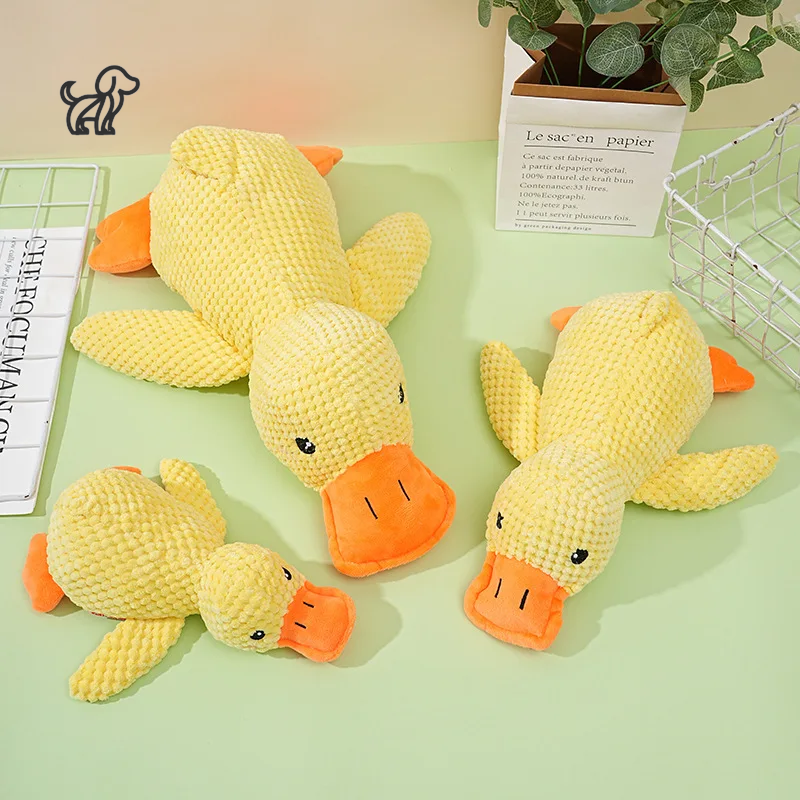 Quacky Wacky Duck Toy