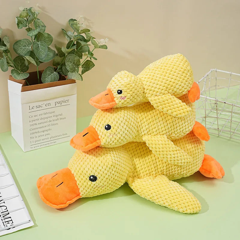 Quacky Wacky Duck Toy
