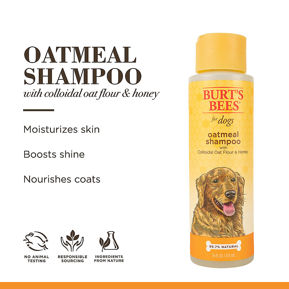 Burt's Oatmeal Dog Shampoo - With Colloidal Oat Flour & Honey