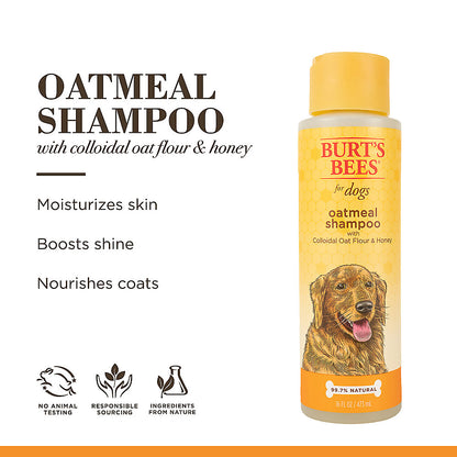 Burt's Oatmeal Dog Shampoo - With Colloidal Oat Flour & Honey