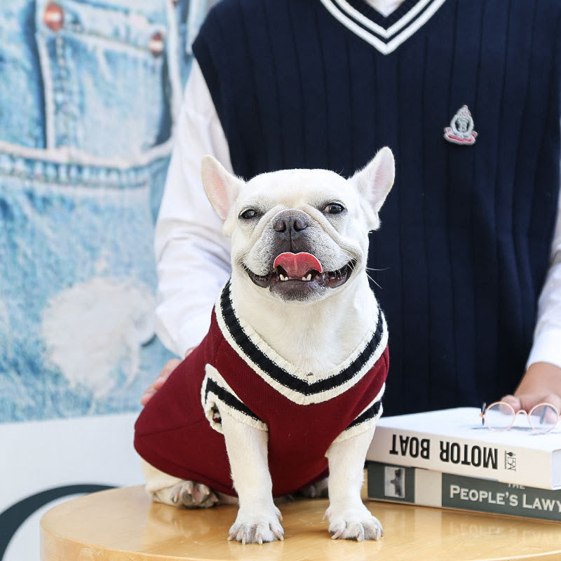 College-Style Dog Sweater 