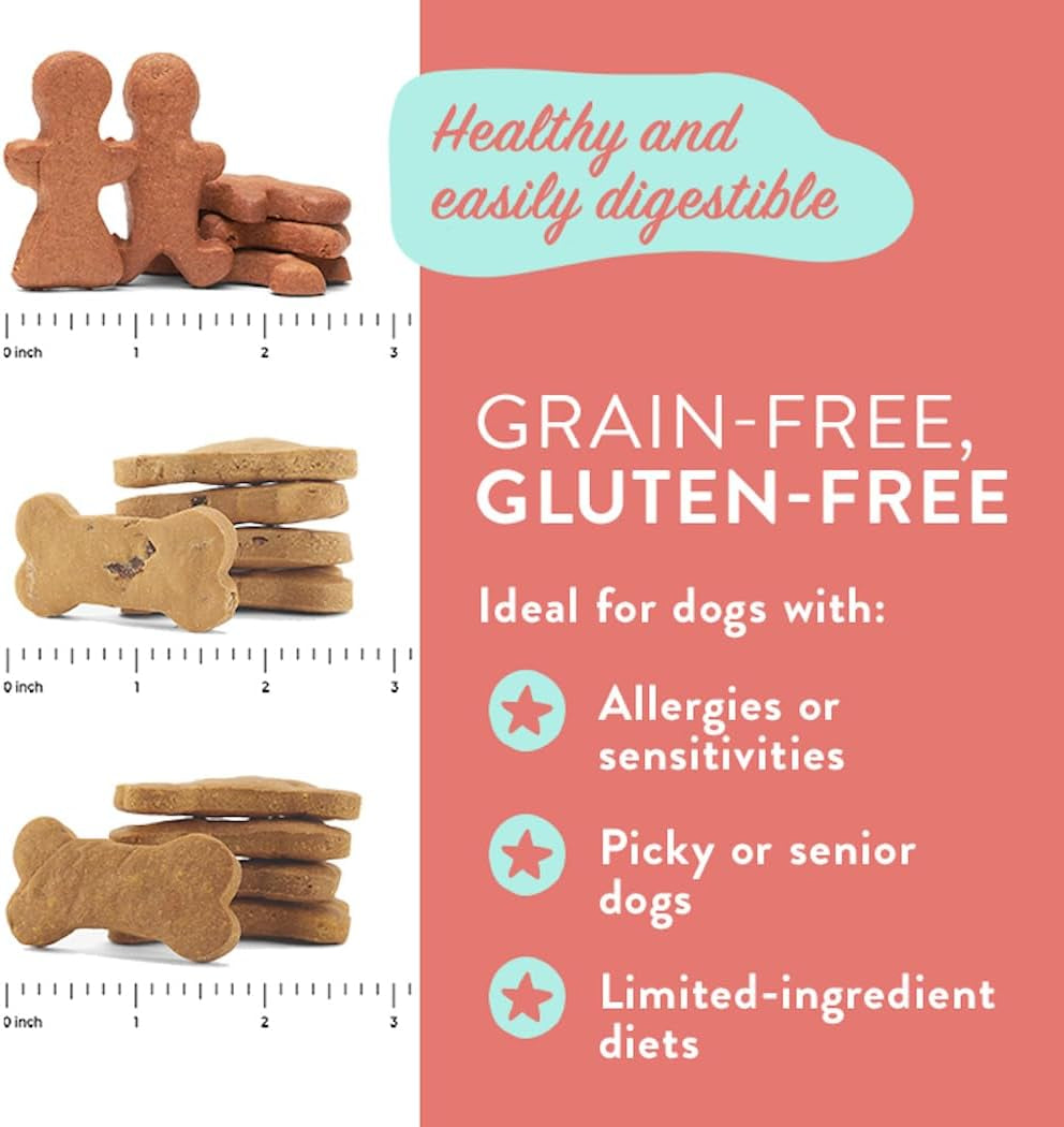 All Natural Pumpkin Dog Treats - Grain-Free, Human-Grade