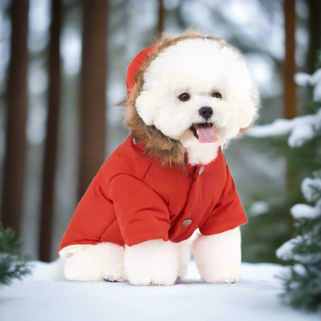 Luxury Winter Coat for Dogs