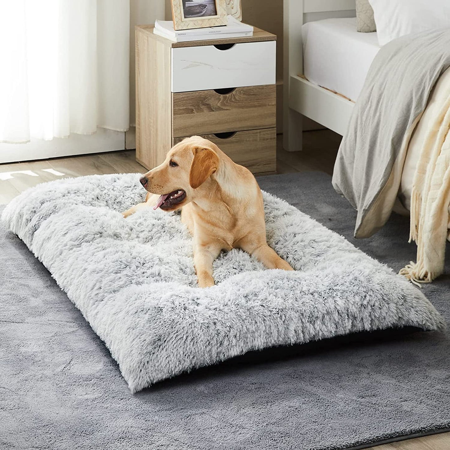 Large Fluffy Dog Bed