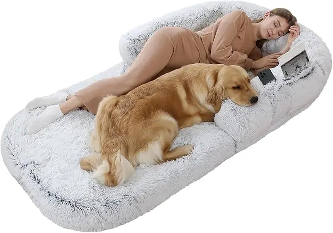 Foldable Human Sized Dog Bed/Couch