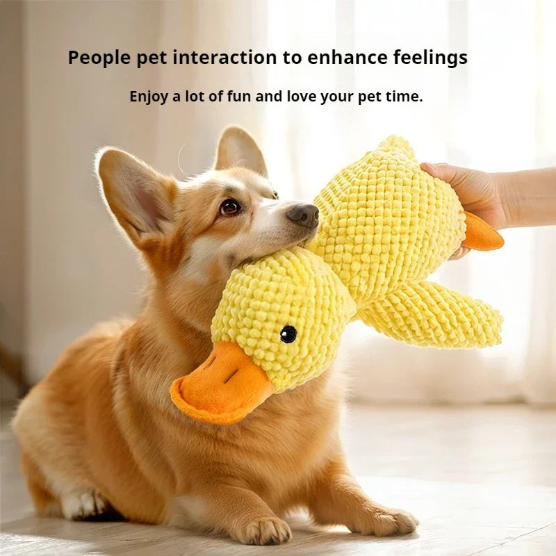 Quacky Wacky Duck Toy