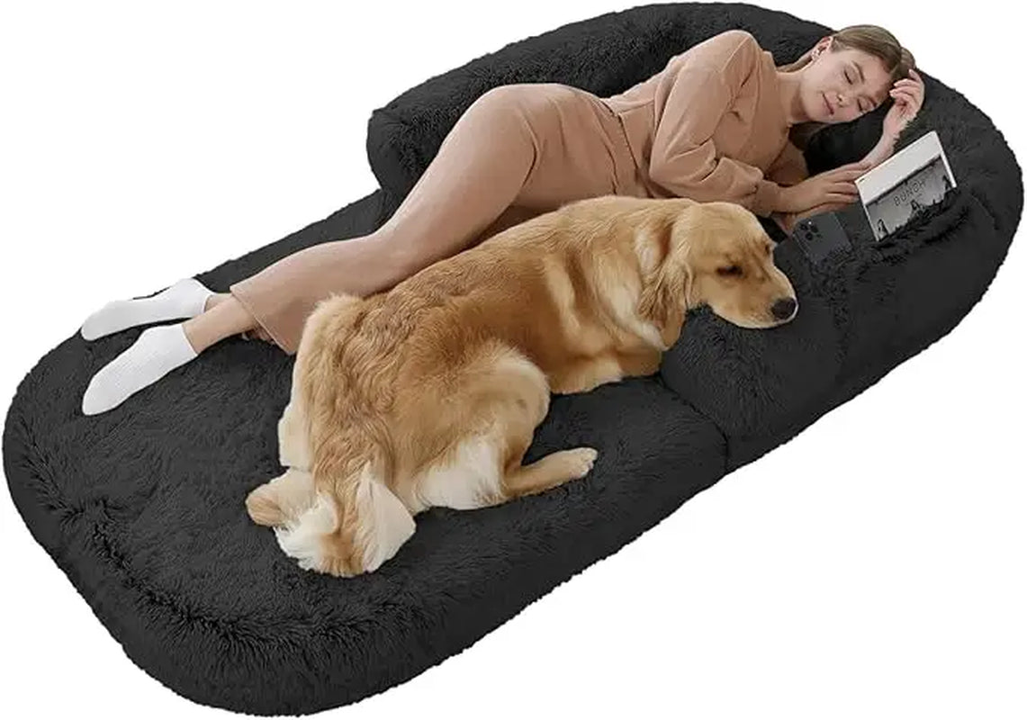 Foldable Human Sized Dog Bed/Couch