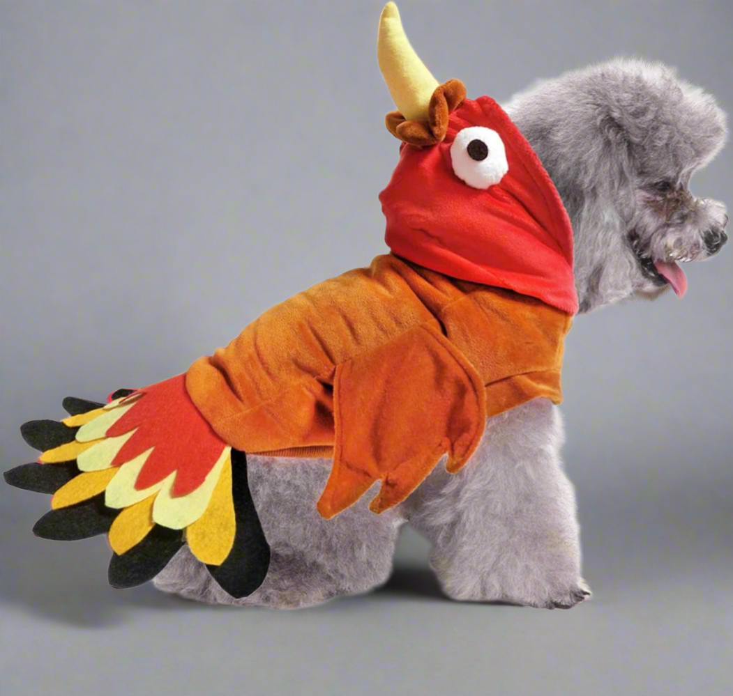 Thanksgiving Turkey Dog Costume