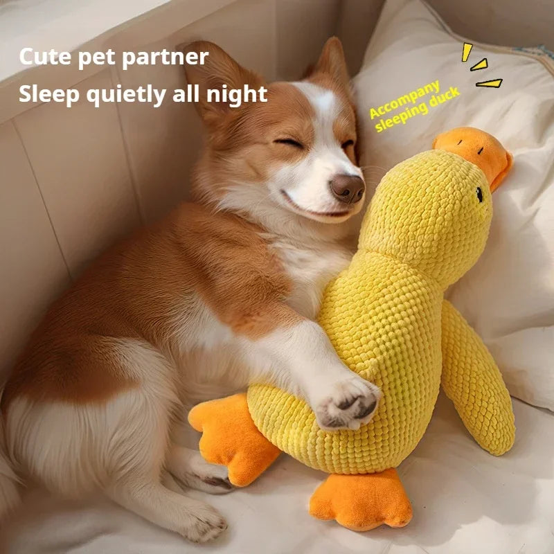 Quacky Wacky Duck Toy