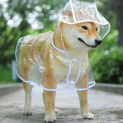 Transparent Rain Poncho for Dogs