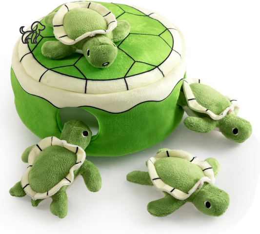 Hide-A-Turtle Squeaker Toy