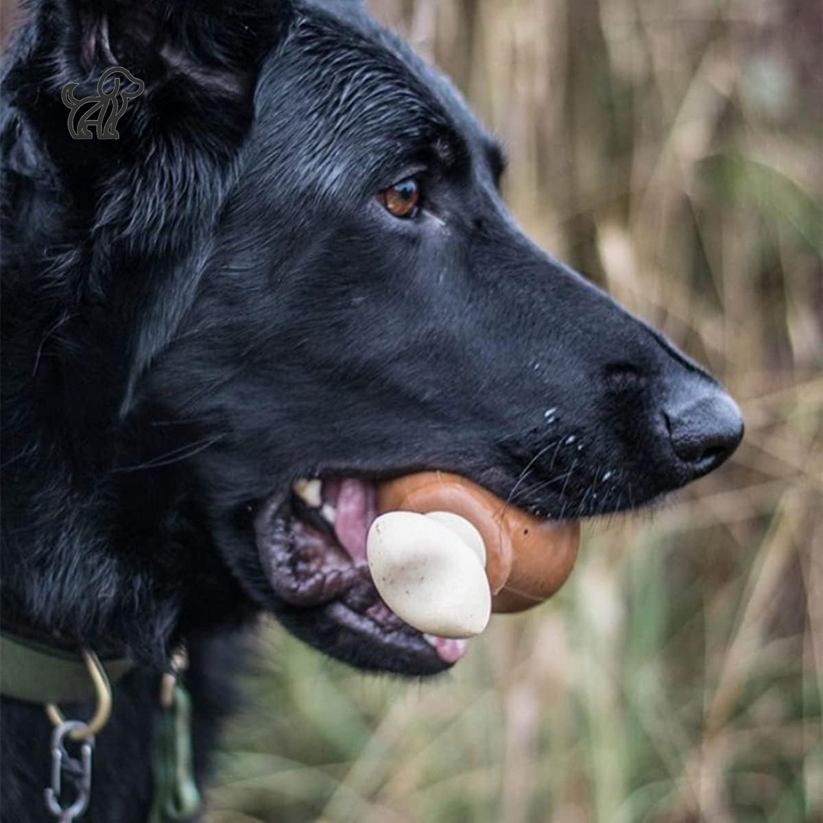 Dog Chew Toys for Aggressive Chewers (Turkey Leg)