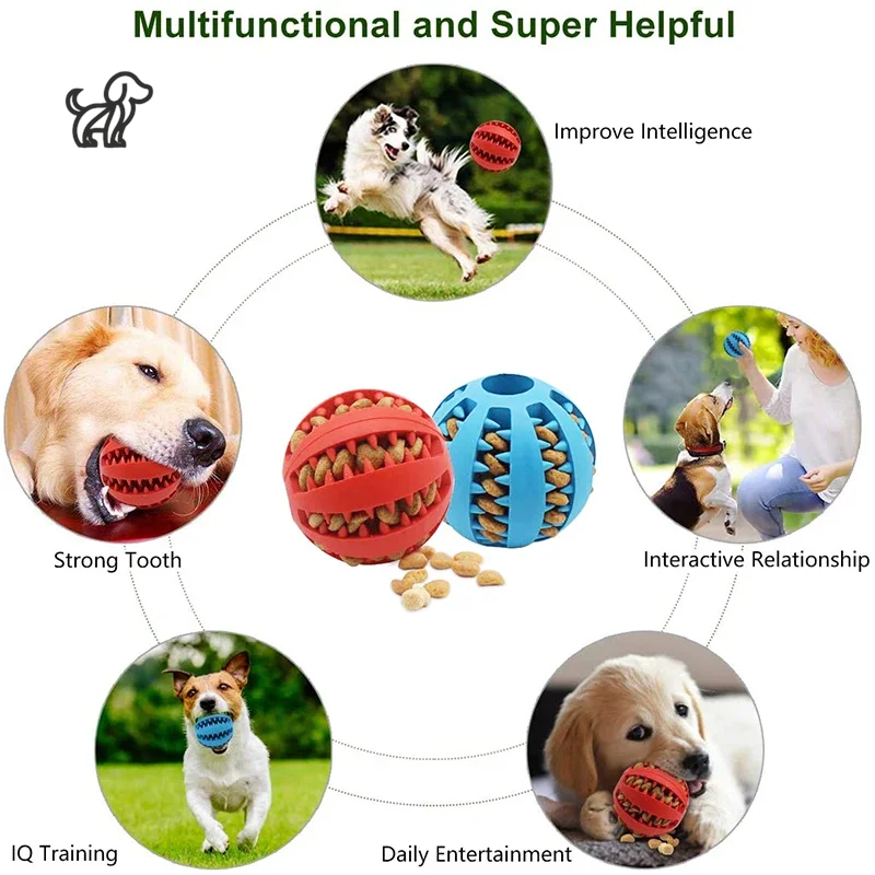 Interactive Rubber Ball Toy for Small Dogs – Elastic, Chew-Friendly, and Tooth-Cleaning