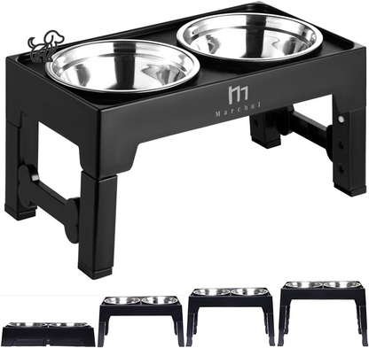 Elevated Dog Stand with 2 Stainless Steel Bowls