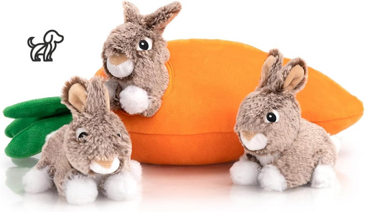 Hide-A-Rabbit Squeaky Toy