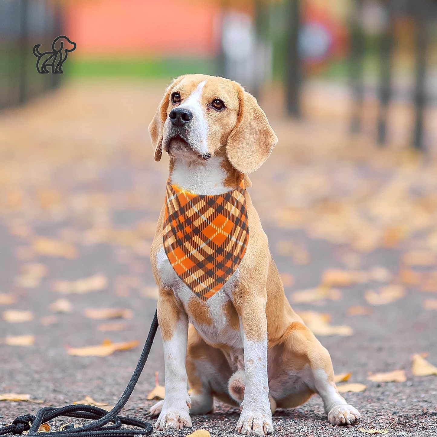 2PCS Reversible Fall Dog Bandanas for Medium to Large Dogs