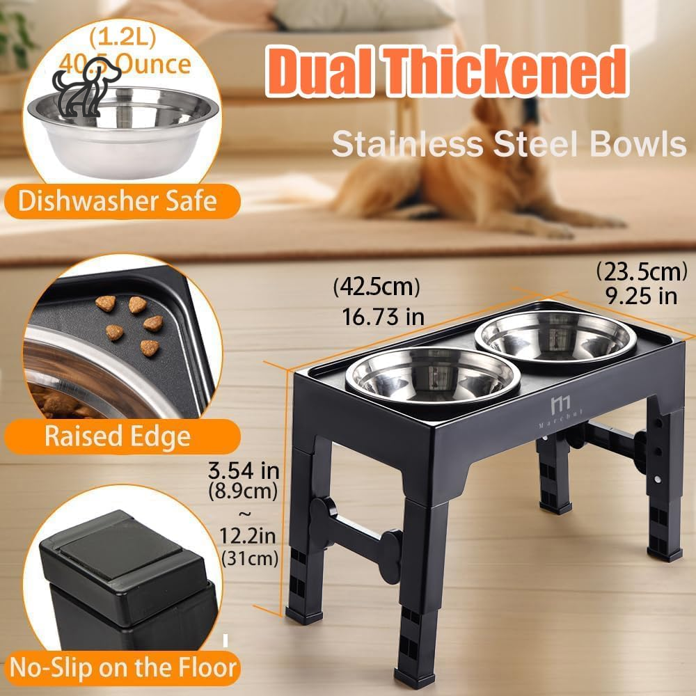 Elevated Dog Stand with 2 Stainless Steel Bowls