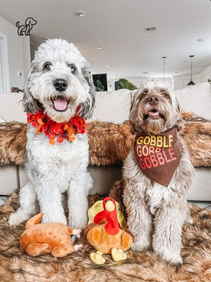 Thanksgiving Turkey Decorative Dog Collar