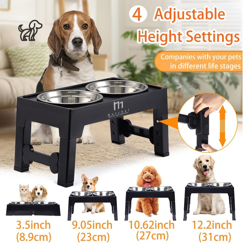 Elevated Dog Stand with 2 Stainless Steel Bowls