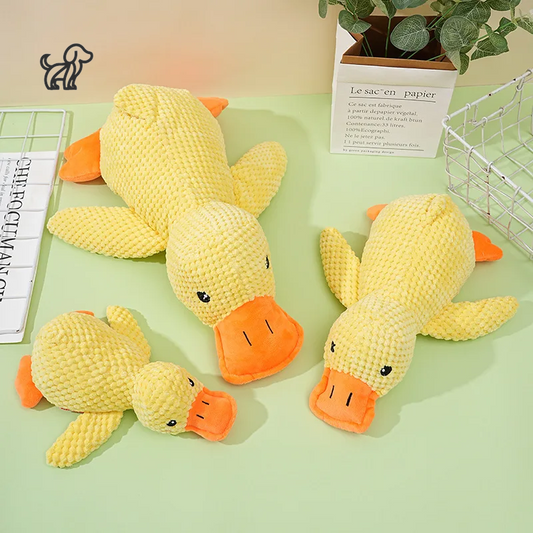 Quacky Wacky Duck Toy