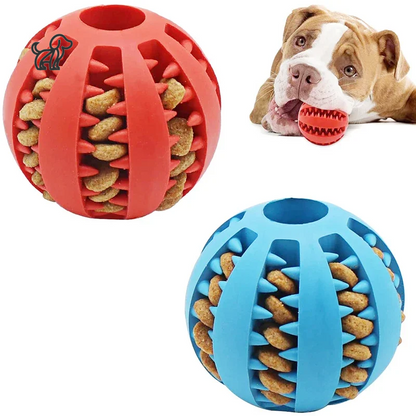 Interactive Rubber Ball Toy for Small Dogs – Elastic, Chew-Friendly, and Tooth-Cleaning