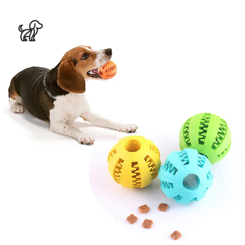 Interactive Rubber Ball Toy for Small Dogs – Elastic, Chew-Friendly, and Tooth-Cleaning