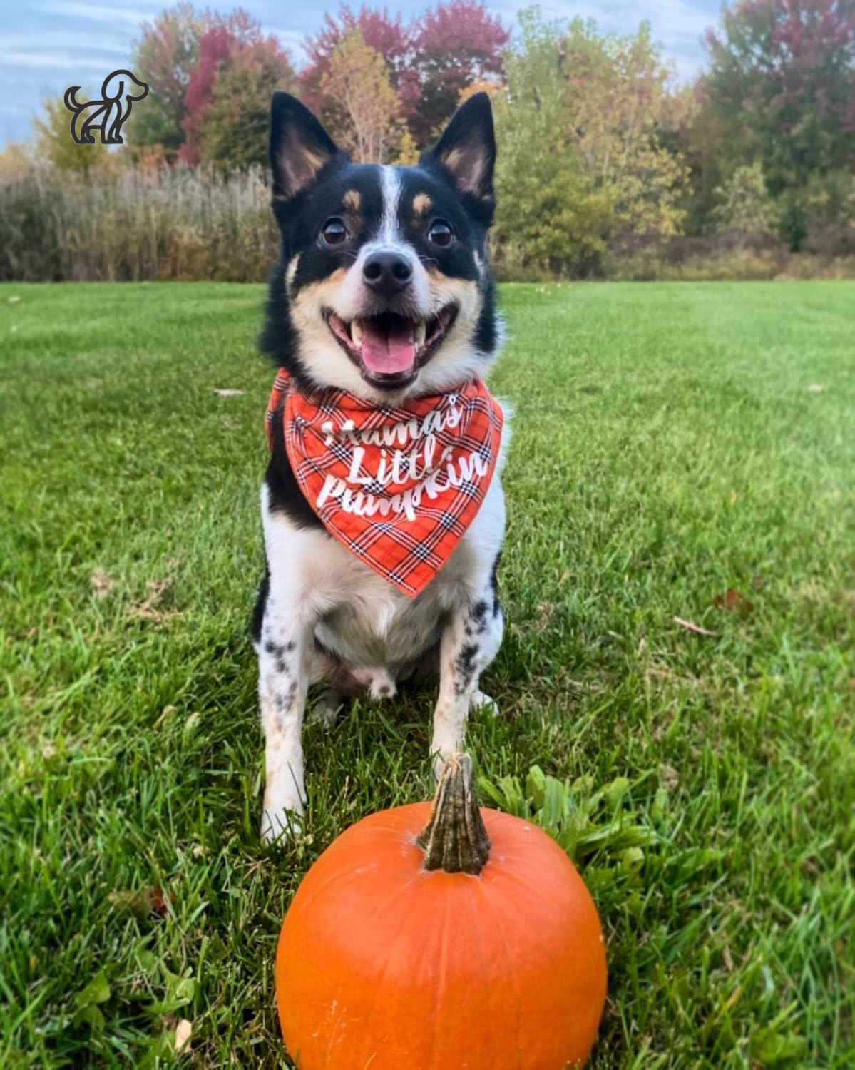 Dog Thanksgiving Bandana