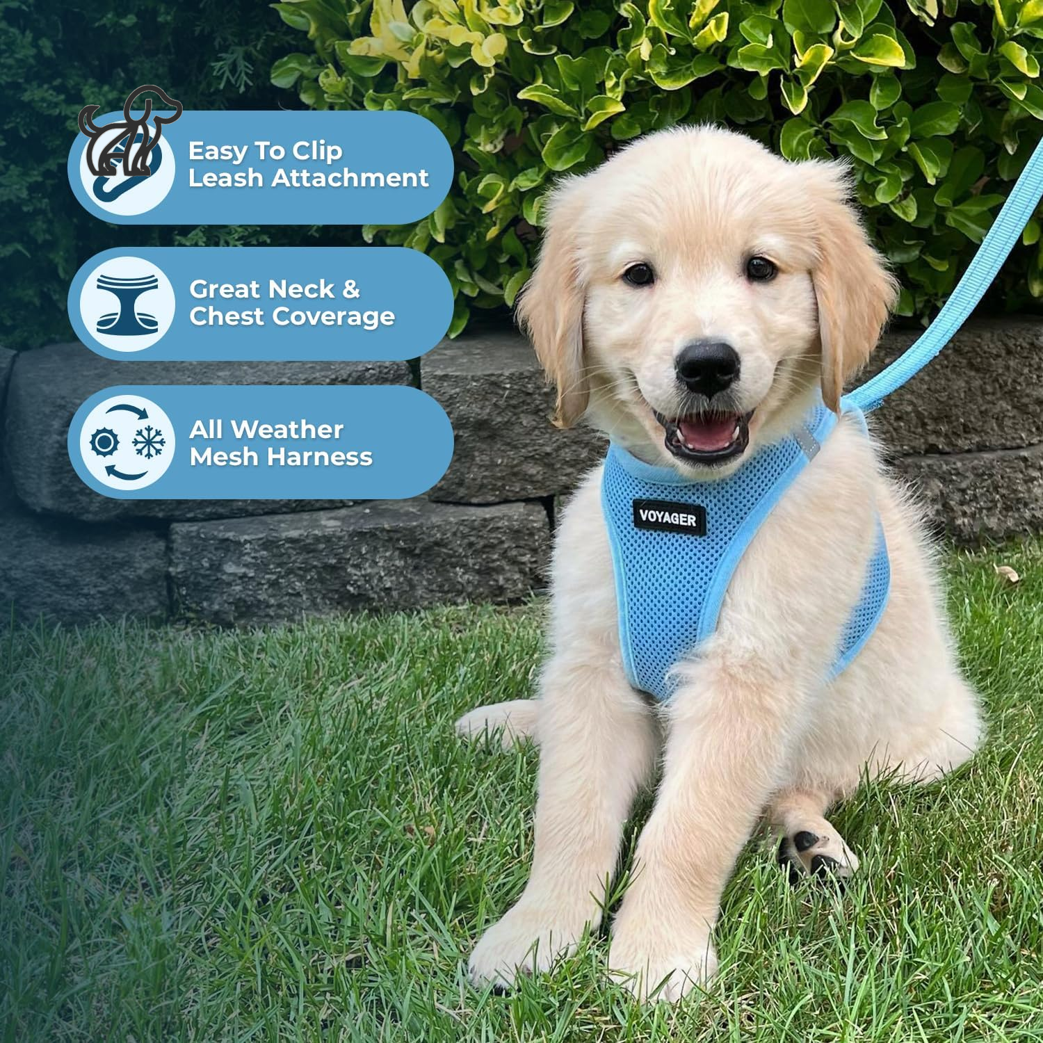 Voyager Step-In Air Dog Harness 