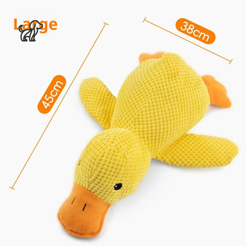 Quacky Wacky Duck Toy