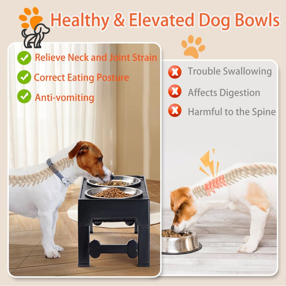 Elevated Dog Stand with 2 Stainless Steel Bowls