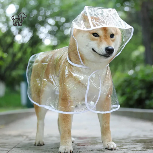 Transparent Rain Poncho for Dogs